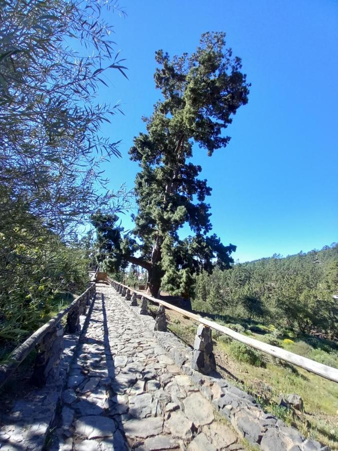 Apto. Pina De Mar Costa Adeje  Luaran gambar